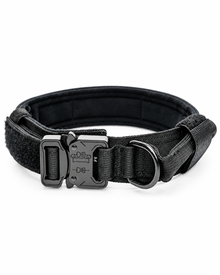 Durable Nylon Dog Collar