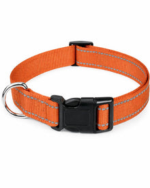 Outdoor Hunde-Halsband aus Nylon