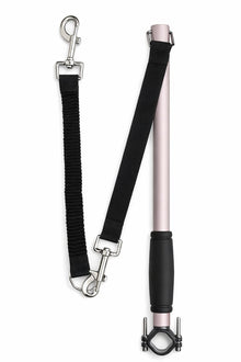 Stainless steel bicycle dog leash