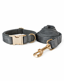 Samt-Hundehalsband-Set in Silbergrau mit Leine & Fliege – elegantes Velvet-Set mit goldfarbenen Details