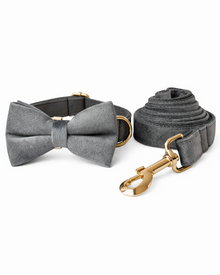 Samt-Hundehalsband-Set in Silbergrau mit Leine & Fliege – elegantes Velvet-Set mit goldfarbenen Details