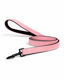 Leather dog leash - robust, stylish, and reliable for everyday use