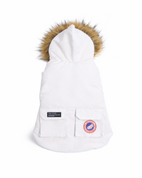 Padded Dog Down Jacket with Hood