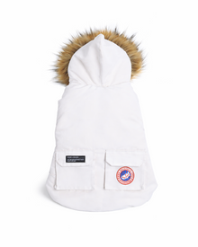 Padded Dog Down Jacket with Hood
