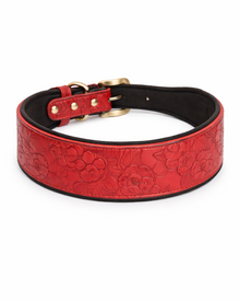 Embossed Premium Dog Collar with Soft Lining – floral, soft & stylish