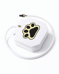 Outdoor Hunde-Wasserspender mit Pfotendruck – Trinkbrunnen für Garten & Terrasse