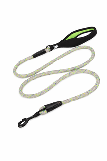 Hundeleine aus Nylon mit gepolstertem Neopren-Griff