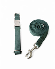 Green velvet set for dogs