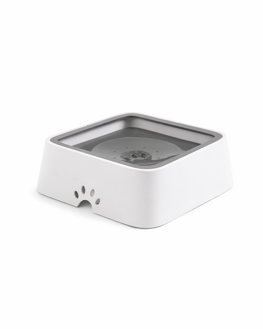 2L Anti-Splash Pet Water Bowl with Floating Plate for Dogs & Cats