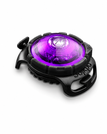 Orbiloc - Dog Dual Hundelampe – Sicherheitslicht in 11 Farben