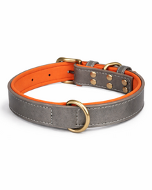 Kontrast-Hundehalsband im British Style – atmungsaktiv, weich gepolstert & stilvoll für jede Jahreszeit