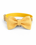 Collar with bow tie