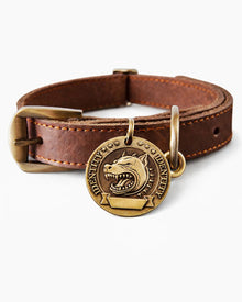 Personalized Dog Collar with Anti-Lost Dog Tag