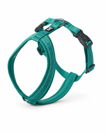Casual Y-Harness - gepolstertes Y-Geschirr für Alltag & Outdoor