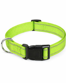 Outdoor Hunde-Halsband aus Nylon