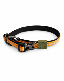 AFP Off Street Dog Collar - Comfortable Dog Collar with Bionic Finish in Olive Green 🐾