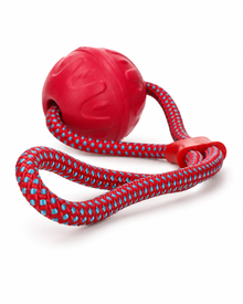 Dog Comets - Vortex Loop – schwimmfähiger Ball mit reflektierendem Seil