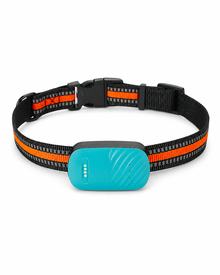 Waterproof 4G GPS Pet Tracker for Dogs & Cats – Anti-Loss Tracking with Safety Zone 🐾