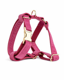 Samt-Hunde- & Katzenhalsband & Zubehör-Set