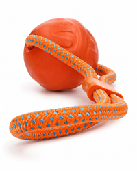 Dog Comets - Vortex Loop – schwimmfähiger Ball mit reflektierendem Seil