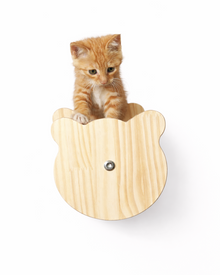 Solid wood wall-mounted cat climbing wall, individually configurable