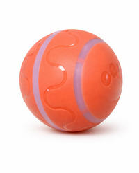 WildeWelle Ball – Intelligenter Spielball mit Fernbedienung für Katzen & Hunde