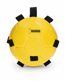 Fun Play Ball 19 cm – robuster Beschäftigungsball für Hunde