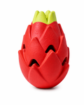 Dragon fruit