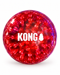 KONG Squeezz Geodz 2er-Pack – Apportierbälle mit Quietscher & Rassel