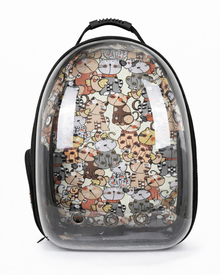 Space Backpack with a Clear View