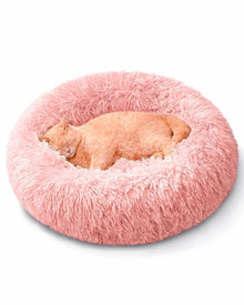Warm Snuggle Nest