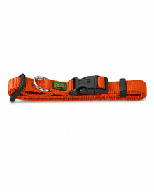 Halsband für Welpen und kleine Hunde