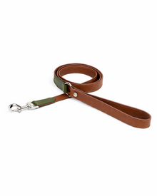 Edles Leder-Hundehalsband & Leine Set mit Kotbeutelspender
