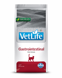 Gastrointestinal Cat Adult – Diät-Trockenfutter für Magen & Darm