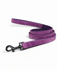 Leather dog leash - robust, stylish, and reliable for everyday use