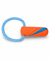 Chuckit! Ultra Bumper Tug – schwimmfähiges 2-in-1 Apportier- & Zerrspielzeug 🐾