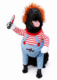 The cheeky scare with the cuddle factor - Halloween Horror Costume for Dogs