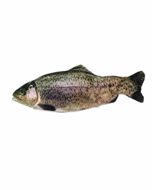 Robocat Fish Katzenspielzeug 30 cm - Beweglicher Fisch mit MADNIP & USB-Ladung