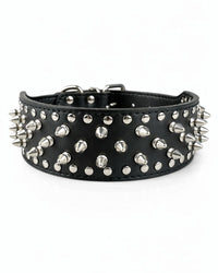 Studded PU dog collar