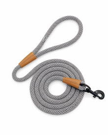 Nylon dog leash for medium and large dogs – robust, soft & easy to grip in purple