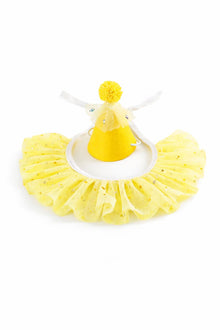 Glitter Princess Pet Set