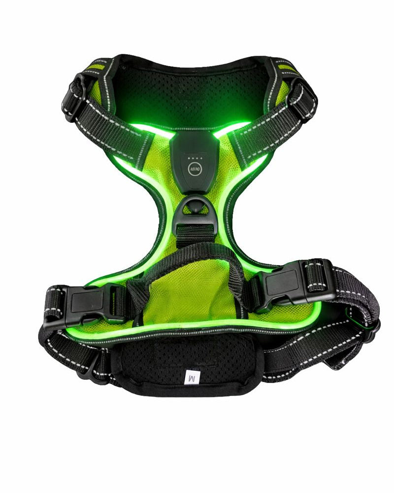 LED Safety Harness for Dogs & Cats - For Safety in the Dark