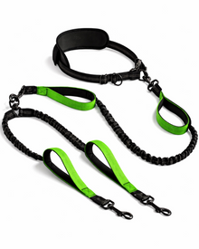 2-in-1 Hands-Free Double Leash for Dogs – Multifunctional Nylon Running & Walking Belt