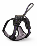 Black Purple