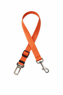 Car safety belt for dogs