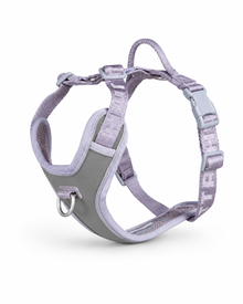 Venture Harness No-Pull - gepolstertes Antizuggeschirr