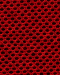 Rot