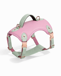 Western-Style Dog Harness - Elegant Saddle Harness for Medium and Large Dogs