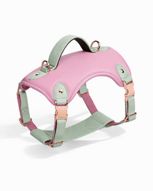 Western-Style Dog Harness - Elegant Saddle Harness for Medium and Large Dogs