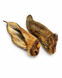 Rehohren mit Fell 2 Stück - aromatisches Kauerlebnis